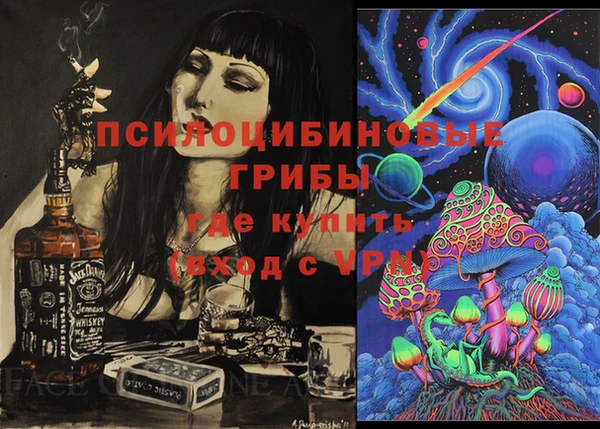 PSILOCYBIN Баксан