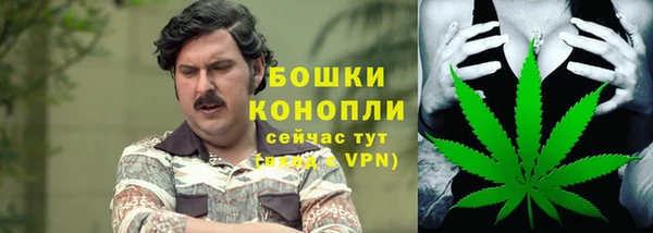 PSILOCYBIN Баксан