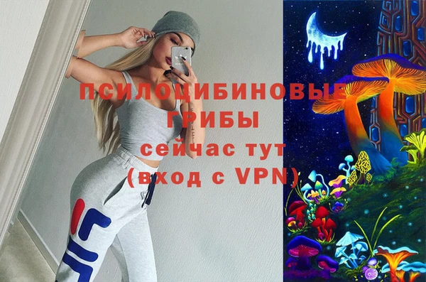 PSILOCYBIN Баксан