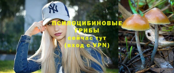 PSILOCYBIN Баксан