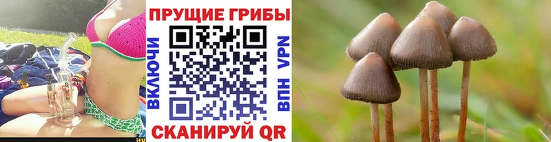 Галлюциногенные грибы Magic Shrooms  мега ссылки  Кондрово 
